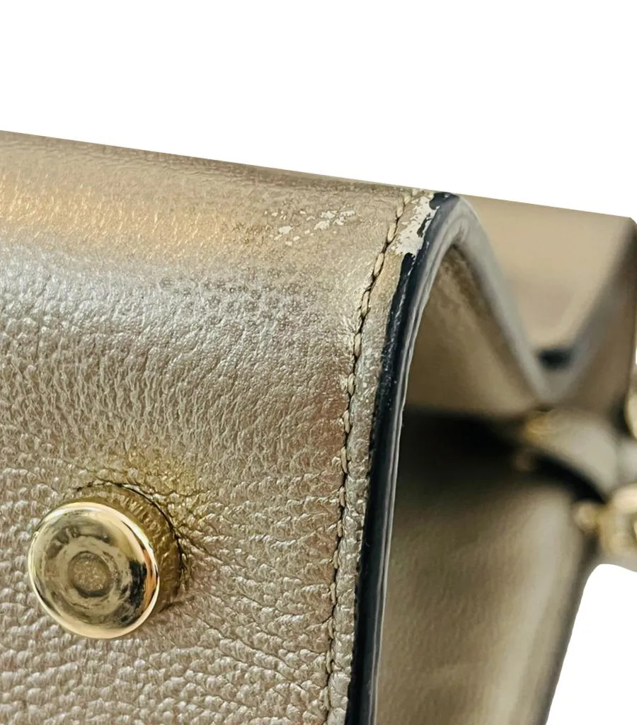 Dior Diorever Metallic Leather Flap Bag