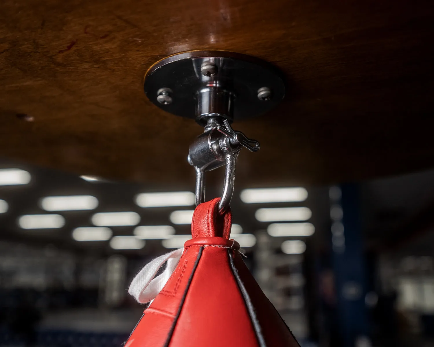 TITLE Boxing Deluxe Pro Swivel